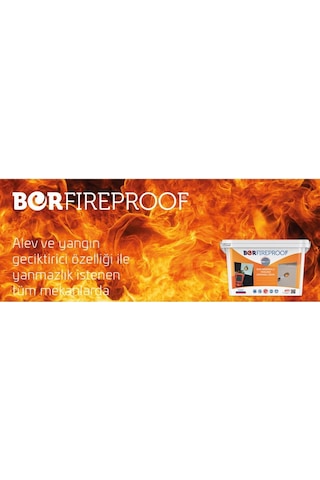 Borfıreproof Yangına Dayanıklı Boya 4 Kg Diğer