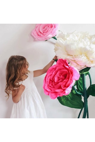 Roco Paper İtalyan Krapon Kağıdı Set Pinky 180 Gr - 25x125 Cm 6