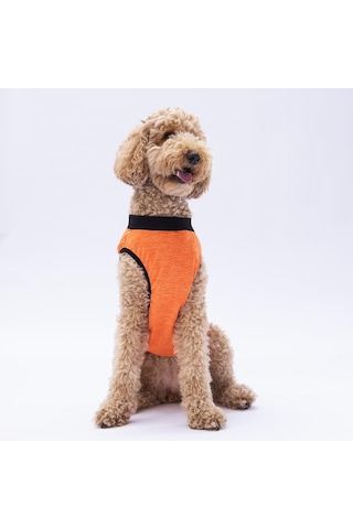 Turuncu Sunrise Büyük Köpek Tişörtü - Köpek Kıyafeti 15 Kg-45 Kg