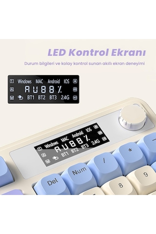 Aula S99 Pro Retro Rgb Gaming Bluetooth 2.4ghz Type-c 3 Mod Kablosuz Makrolu Türkçe Q Oyuncu Klavye Mavi 75645672