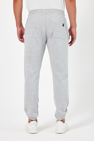 Kalın Gri Erkek Eşofman Altı Jogger Arka Cepli Lastik Paça Regular Fit Şardonsuz Gri