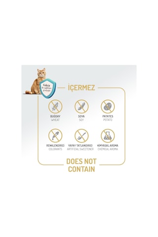 Ayrex Az Tahıllı 2 Kg Sterilised Somonlu Kısırlaştırılmış Hypoallergenic Kedi Maması