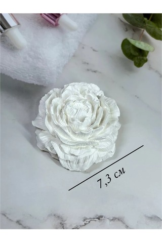 Wick24 İç Mekan İçin Uçucu Yağlar İçin Şap Taş Aroması Piyon Aromadüfüsör 185463464