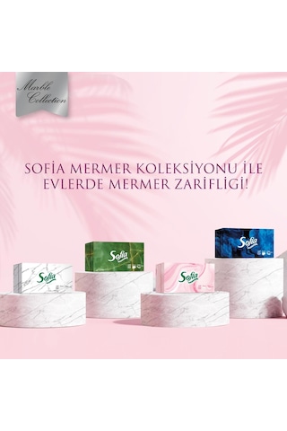Sofia Kutu Mendil 100 Yaprak 24 Paket
