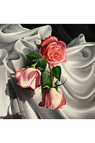 Ruicoo 30x30cm Yarı Delikli Kanvas Ve Reçine Elmaslı Dıy Diamond Painting Seti Çerçeve Hariç