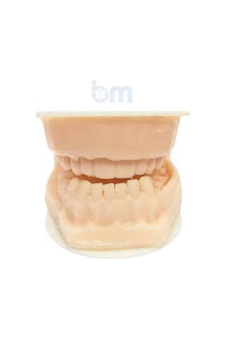 Barışhan Medikal Silikon Çene Diş Dikiş Modeli Ortodontik Alt Üst Çene Periodontal Sütür Eğitim Modeli-3