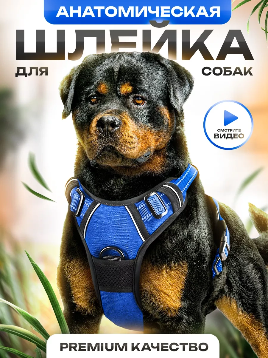 Petfort Orta Ve Büyük Irk Köpekler İçin Anatomik Koşu Kayışı 175517317 Mavi