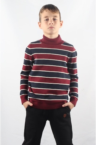 Alexandergardı Balıkçı Yaka Çocuk Triko Kazak C23-7105 001