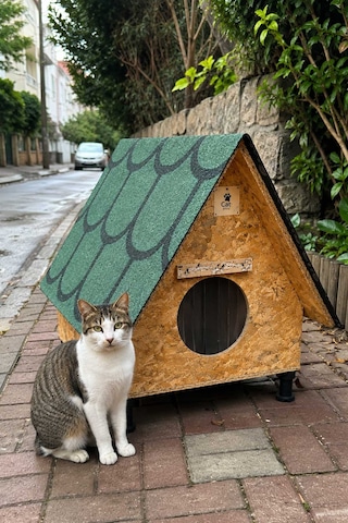 Reyo Narım Bungalov Kedi Evi, Kedi Barınağı Isı Ve Suya Dayanıklı Çatı 45x60x70 Cm
