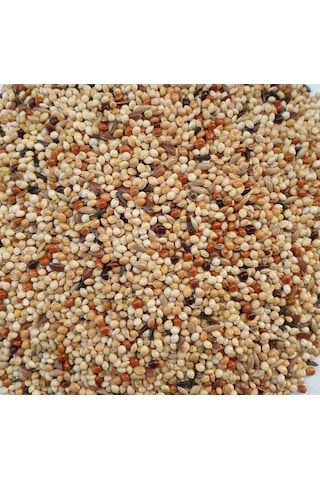 Özel Karışık Muhabbet Kuşu Yemi 10 KG Özel Karışık Muhabbet Kuşu Yemi 10 KG
