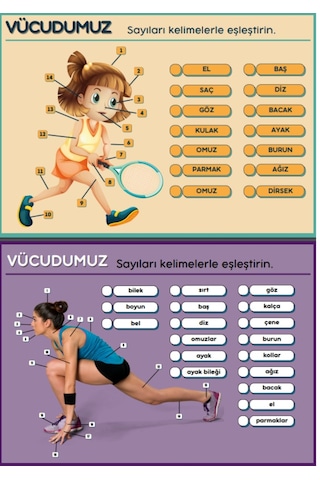 Çocuklar İçin Anatomi Öğreten Yaz-sil Kitabı