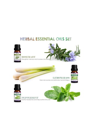 Salking Uçucu Yağ Seti 12x10ml, Aroma Terapi Yağları