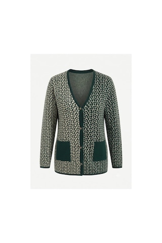 Onno Style Women Çelik Örgü Klasik Leopar Desen Triko Ceket Yeşil