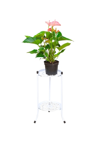 Neevoyu İki Katlı Demir Çiçek Potu Rafı - Balkon, Bahçe, İç Mekan İçin Dayanıklı Ve Pratik Tasarım, Beyaz Renk