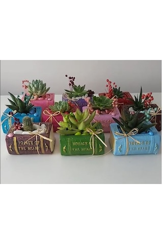 Kitap Saksı Küçük Boy