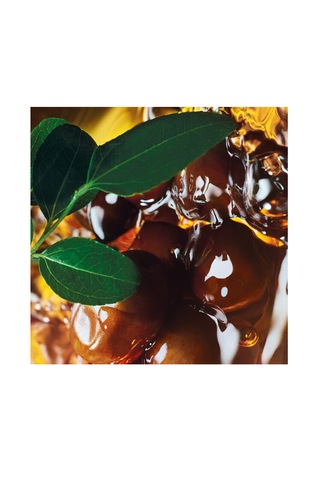 Yves Rocher Yıpranmış Saçlar İçin Onarıcı Saç Maskesi 200 ML