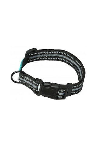 Ans Köpek Boyun Tasması 2.5 CM Genişlik- Boynu 46-55 CM