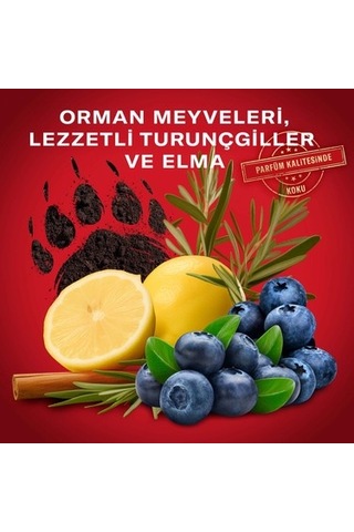 Old Spice Bearglove 400 Ml Erkek Duş Jeli Ve Şampuan Kalıcı Ferahlık Ve Derinlemesine Acai Üzümü