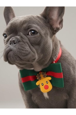 Royal Rudolph Premium Yılbaşı Köpek Papyonu Limited Edition Luxe Aksesuar Orta & Büyük Irklar İçin