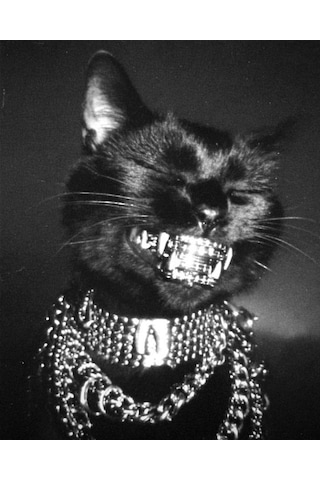 Rizzci Kedi Tablo Ev Duvar Salon Ofis Hediyelik Dekarasyon Premium Duvar Süs