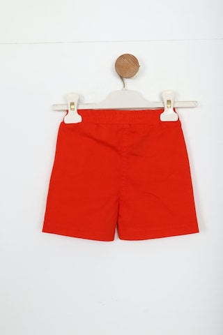 Xo Kids Kız Çocuk Şort 9ay -3 Yaş 58623 Siyah