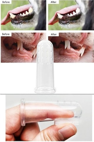 River World Köpekler İçin Diş Fırçası Temizleme Aleti