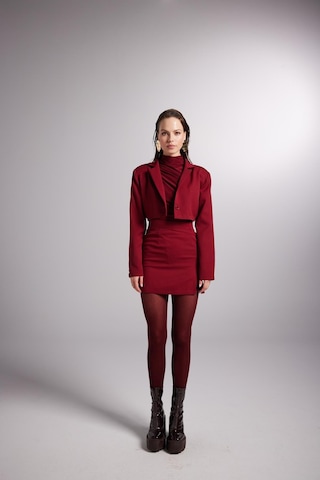 Holly Lolly Yırtmaçlı Mini Panky Etek Bordo