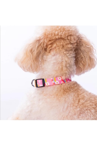 Pawstar Daisy Boyun Tasması M Boyun Çevresi: 32 Cm X 48 Cm Çok Renkli