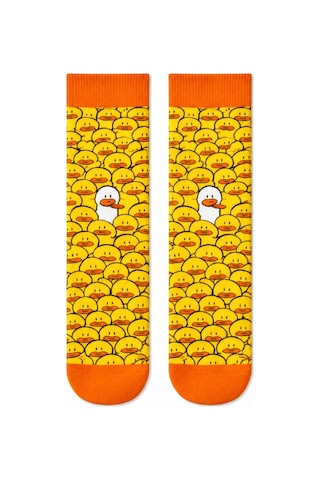 Carnaval Socks Eğlenceli Karışık Desenli 5'li Kutulu Çorap Seti 2000386