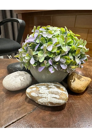 Premium Modern Gri Saksıda Gerçekçi Yapay Dekoratif Bitki 17 X 13 Cm Ev Ve Ofis Dekoru Çok Renkli