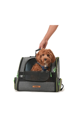 Brave Paws Kedi Ve Köpekler Için Piramit Xl Taşıma Çantası - Geniş Alan Havalandırmalı Seyahat Çantası