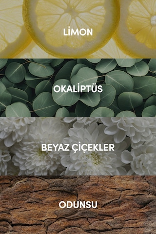 Océane Edp Seyahat Boy Erkek Parfümü 10ml Ferah - Deniz - Narenciye Aromatik, Limon, Gül