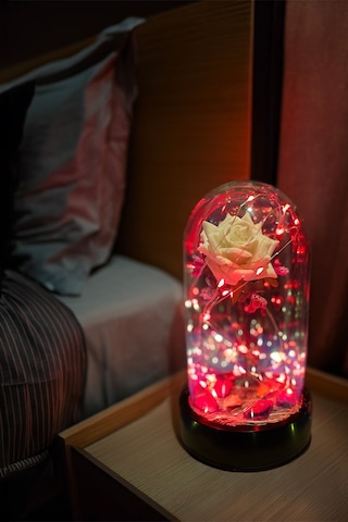 Anneler Gününe Özel Beyaz Gül Kırmızı Fanus Lamba Usb'li Yapay Çiçek Dekoratif Aydınlatma Hediyelik
