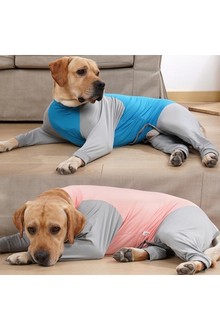 Xindoker Köpek Kıyafeti - Esnek Dört Bacaklı Polo Yaka Sweatshirt Mavi/gri, Xl