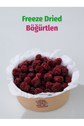 Böğürtlen Meyve Cipsi Freeze Dried Doğal Çıtır Atıştırmalık 110 Gr 110 G Böğürtlen Meyve Cipsi Freeze Dried Doğal Çıtır Atıştırmalık 110 Gr 110 G