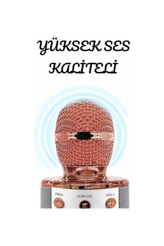 Şarjlı Ve Uzun Pil Ömürlü Karaoke Mikrofon Usb Bellek Destekli, Profesyonel Ses