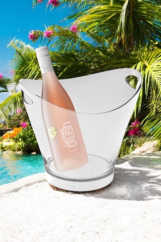 6 Litre Dev Buz Kovası Şeffaf