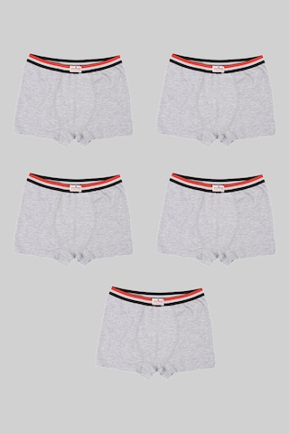Ceylanoğlu 12'li Gri Erkek Çocuk Likralı Sade Boxer-343-1 Gri