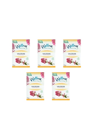 Wellnax Dolap ve Çekmece Kokusu Valerian Çiçeği Kesesi 5 x 21 G