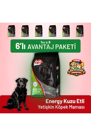 Kuzu Etli Yetişkin Köpek Maması - 6 Adet