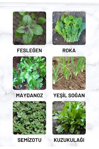 Fesleğen, Roka, Maydanoz, Soğan, Semizotu, Kuzukulağı 60 GR