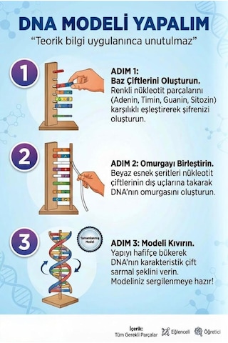 Kendin Yap 3 Boyutlu 72 Parça Dna Model Yapma Eğitici Öğretici Proje Ve Deney Yapım Setleri