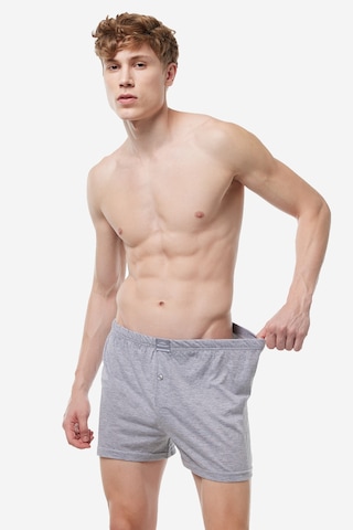Malabadi Erkek Gri 3'lü Premium Collection Geniş Kalıp Modal Büyük Beden Boxer 3m254
