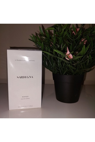 Sardegna Edt 100 Ml Erkek Parfümü - 8447144969169 Baharat