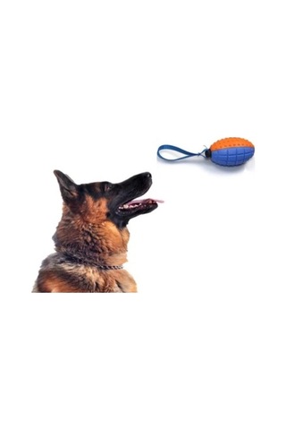 Zenviya21 Köpek Diş Kaşıma Oyun Topu Zenya785
