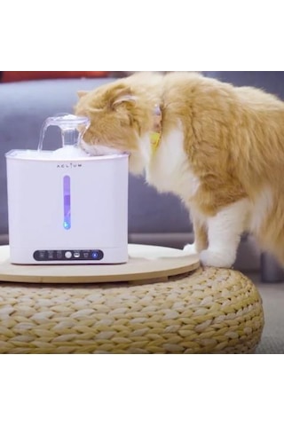 Aclıum Sensörlü Kedi Su Sebili 2,4 Lt