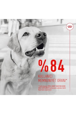 Digestion Chews Yetişkin Köpekler İçin Sindirim Sistemini Destekleyen Tamamlayıcı Ödül Maması 160g