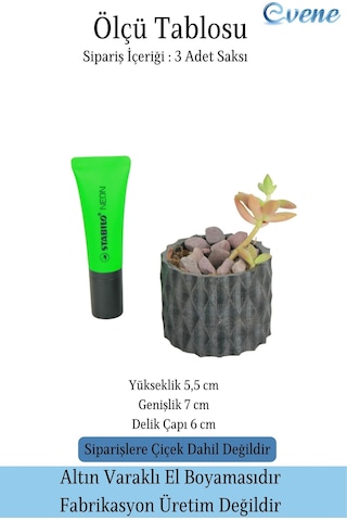 Mini Çiçek Saksı Küçük Sukulent Siyah Kaktüs Saksısı 3'lü Set Baklava Çizgili Model