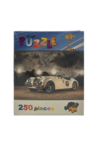 250 Parça Mini Puzzle Eğitici Ve Eğlenceli Zeka Oyunu