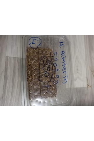 Kurutulmuş Un Kurdu 50 Gram